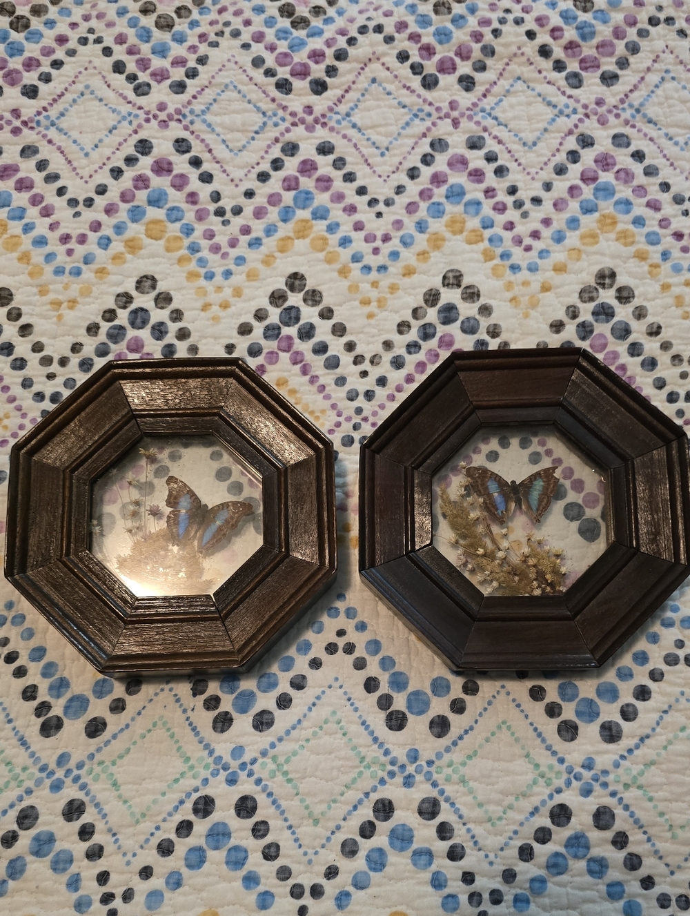 2 Wood Vintage Dried Flowers Preserved Butterflies Octagon Wall Hanging Plaque
